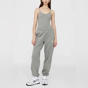 NWT Anine Bing Alissa Bodysuit in Storm Grey